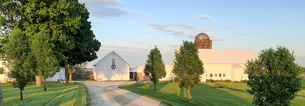 Banner for Grandma's House at Circle K Farmhouse depicting a white farmhouse at the end of a country drive with trees lining the gravel path