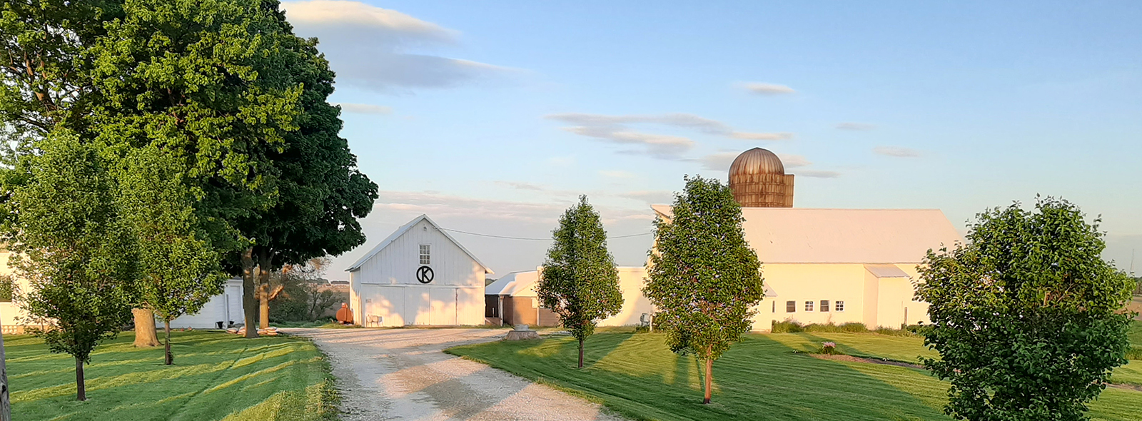 Banner for Grandma's House at Circle K farm depicting a white farmhouse at the end of a country drive with trees lining the gravel path